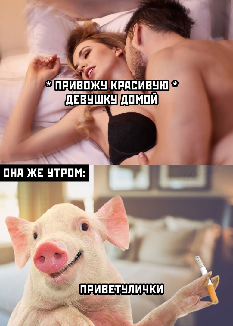 сколько длиться оргазм у свиньи фото 106